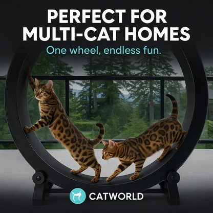 CatWorld™ Exercise Wheel – Gen 7